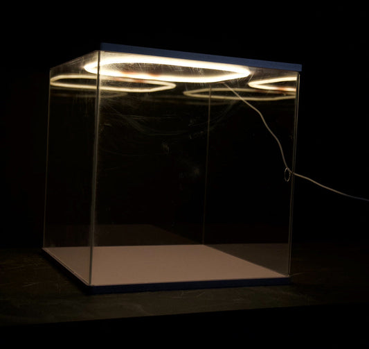 Spot-Light Basketball Display Case